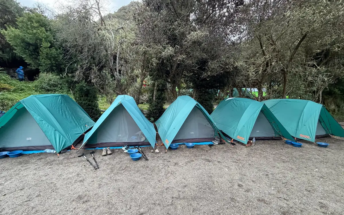 Une rangée de tentes dôme bleues sur un sol nu sous les arbres